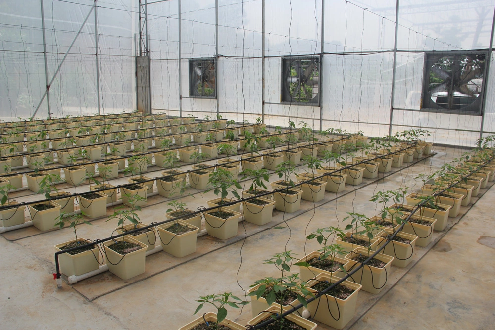 Hydroponic Farm System Square Food-Grade Plastic Flower Pot for Tomato