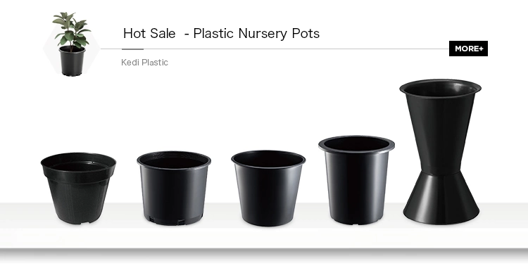 Black Gallon Pot Plastic Flower Pot (NO. 4-NO. 6)