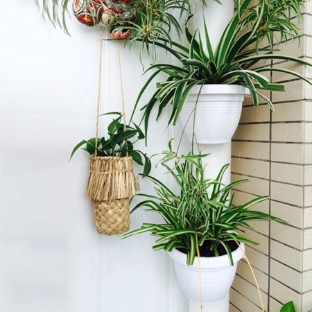 Plastic Vertical Hanging Wall Garden Pots Flower Pots 3 Plant Pots