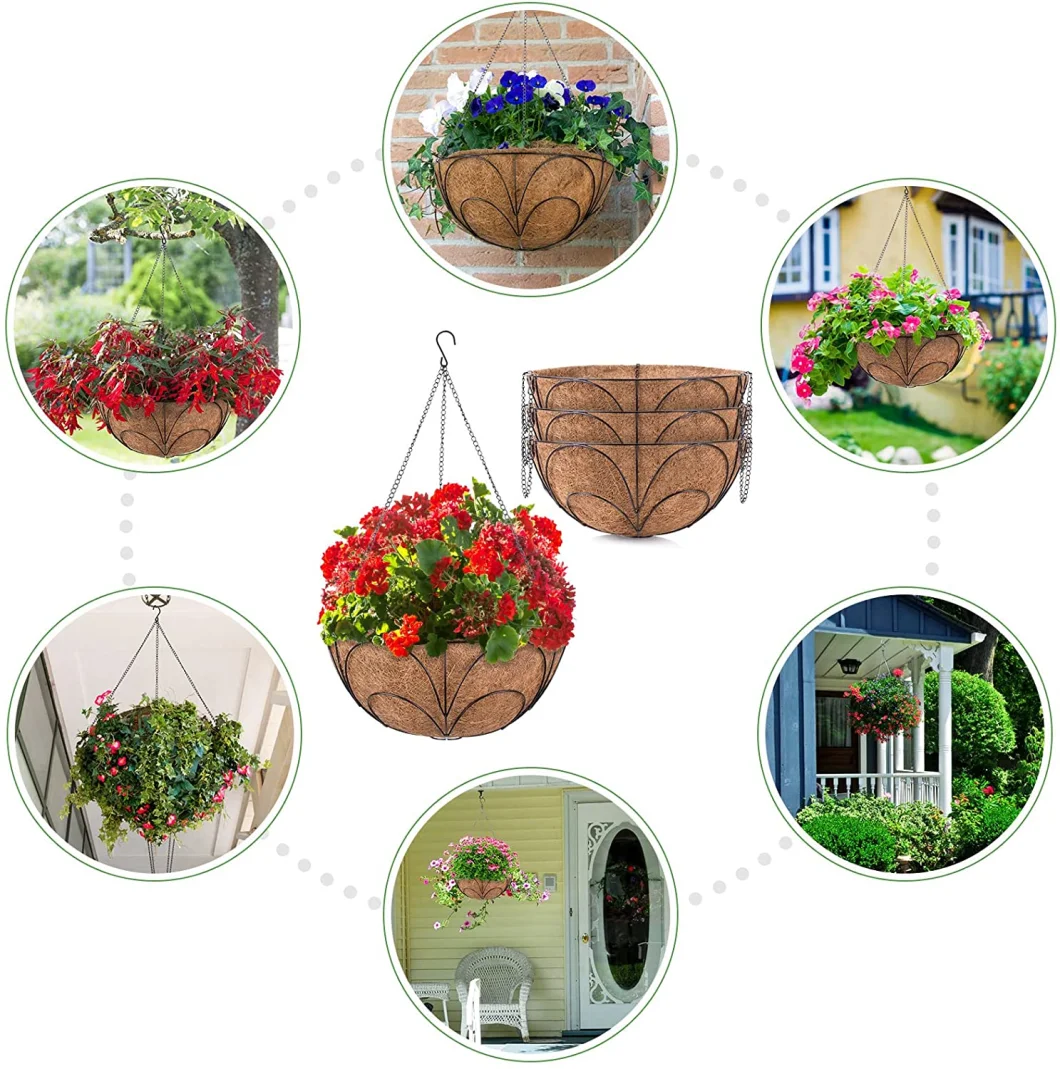 Hanging Basket for Interior Decoration and Home Garden