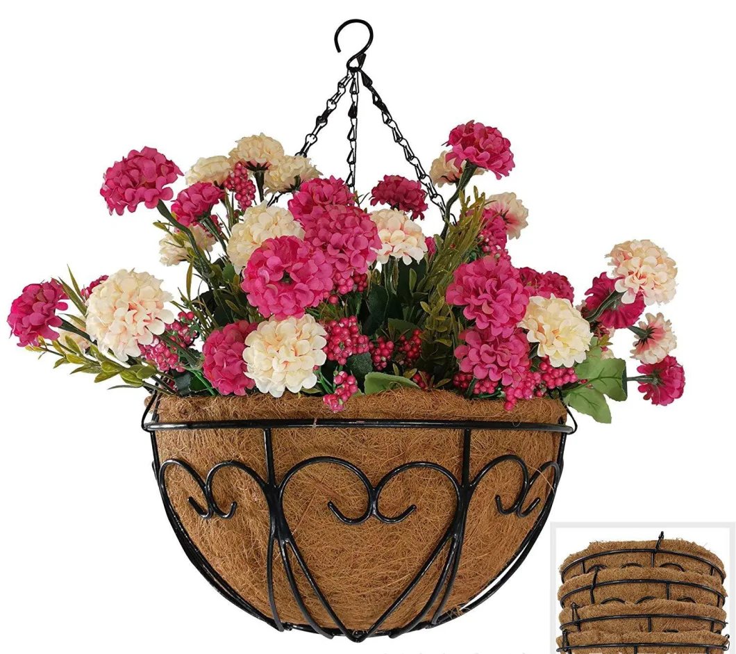 Hanging Basket for Interior Decoration and Home Garden