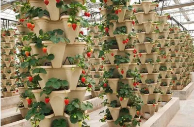 Outdoor Plastic Indoor Plant Pot Tower Garden Plastic Stackable Flower Pots/ Planter