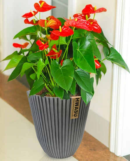 New Design European Style Decorative Vertical Stripes Plastic Flower Pot