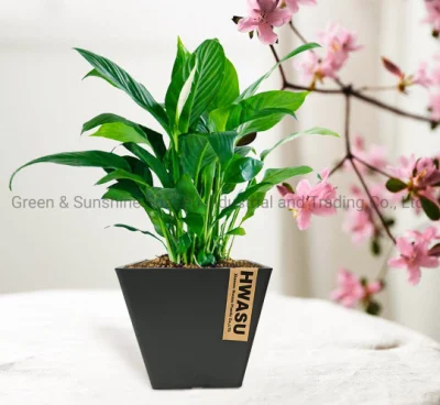 Best Price High Quality Modern Home Decoration Thick Square Plastic Flower Pot Plant Pot Garden Planter