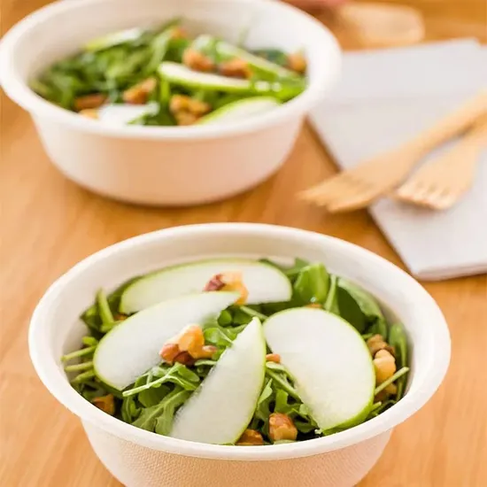 Sugarcane Bagasse Disposable Recyclable Biodegradable Paper Pulp Tray