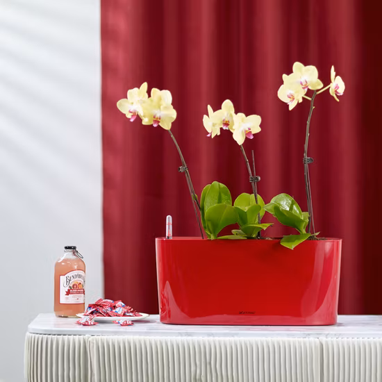 New Design European Style Decorative Vertical Stripes Plastic Flower Pot