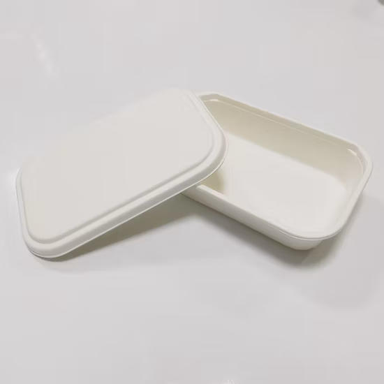 Sugarcane Bagasse Disposable Recyclable Biodegradable Paper Pulp Tray