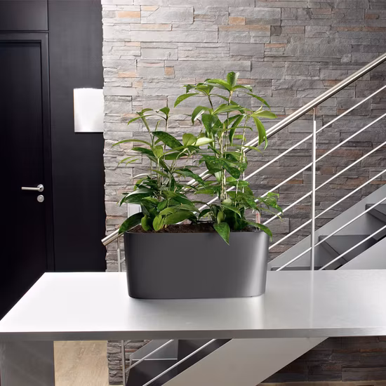 Rectangle Plastic Garden Pot with Irragation System