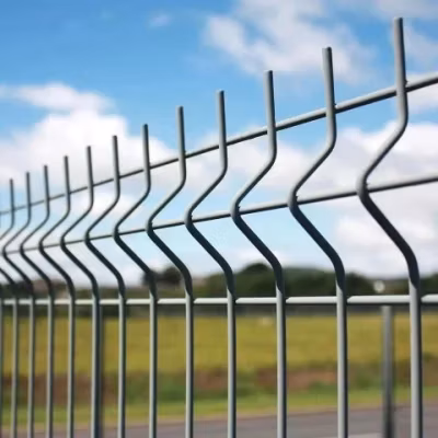 China Factory Powder Coated 3D Curved Wire Mesh Fence Panel for Garden Fencing Trellis Garden Fence Panel
