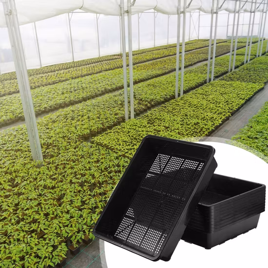 OEM ODM Square Plastic Flower Pots with Different Color Flower Pots with UV Protection