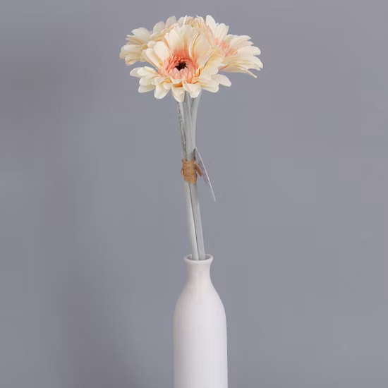2023 New Design Nordic Style Plastic Pots Round Cylinder High Quality Baking Varnish Flower Pots Maceteros for Home Decoration (HG-3301)