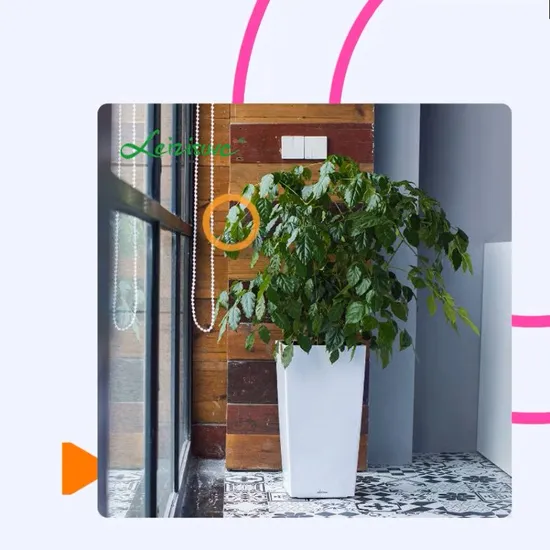 Customized OEM ODM Factory Directly Sales Wholesale Plastic Tray for Succulent Pots Plastic Flower Pot