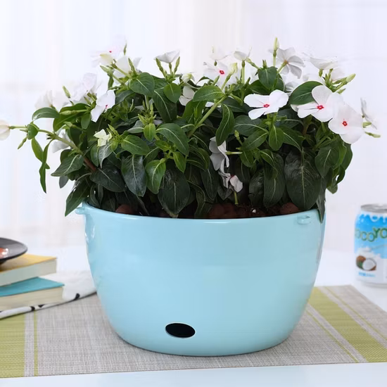 Home Garden Decoration Watering Hanging Flower Pots Basket
