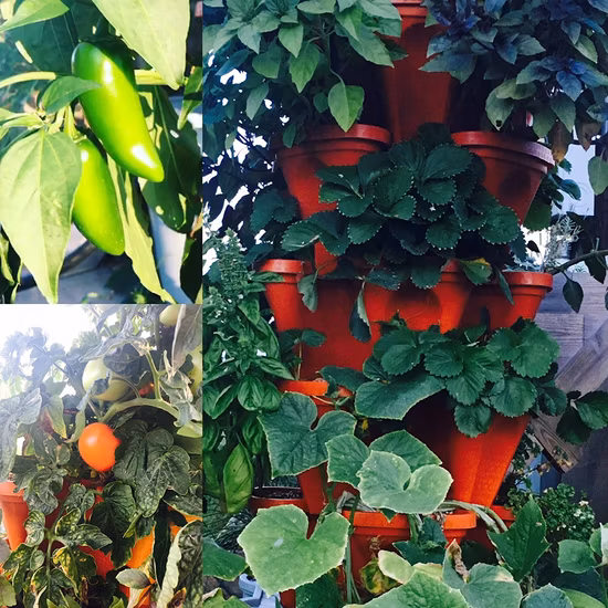 Multi-Layer Vertical Stackable Hanging Stacking Planter Box Set Plastic Planter Tier Garden Tower Flower Plant Pot