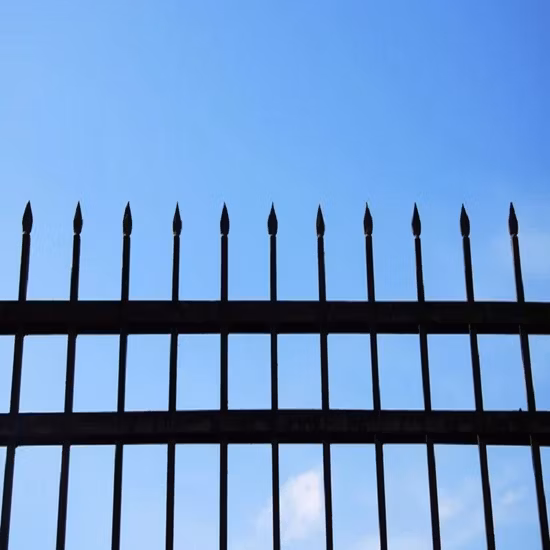 American Black Powder Wrought Iron Fence Panel Steel Rackable Fence Wholesaler