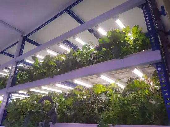 Strawberry Flower Planter Pot Dimensional Four-Petal Stackable Tower Multilayer Superimposed Vegetable Melon Fruit Planting Pot